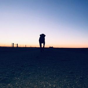 Meet your Posher, Karlee